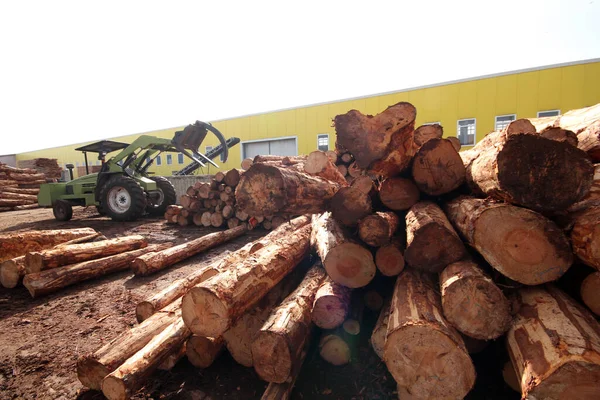 Вилковий Навантажувач Захоплює Деревину Деревообробному Заводі — стокове фото
