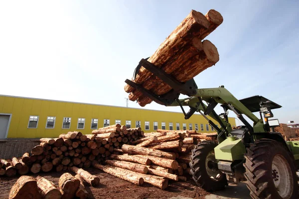 フォークリフトトラックは木の処理工場で木をつかむ — ストック写真