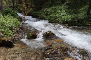 Dağın soğuk suları