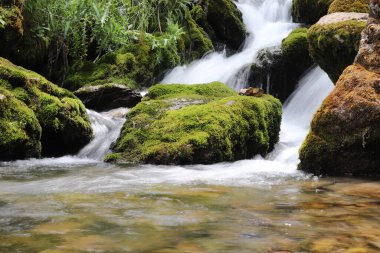 Yosun kaplı engebeli kayalardan akan doğal bir şelale.