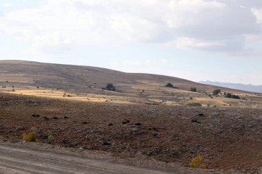 Yüksek bozkırlarda yalnızlık ve yalnızlık