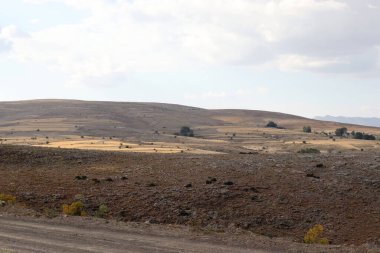 Yüksek bozkırlarda yalnızlık ve yalnızlık