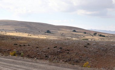 Yüksek bozkırlarda yalnızlık ve yalnızlık