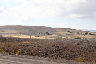 Yüksek bozkırlarda yalnızlık ve yalnızlık