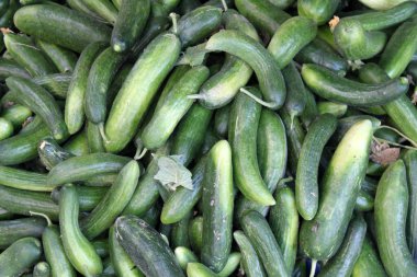 Satılık salatalıkların tam kare fotoğrafı.