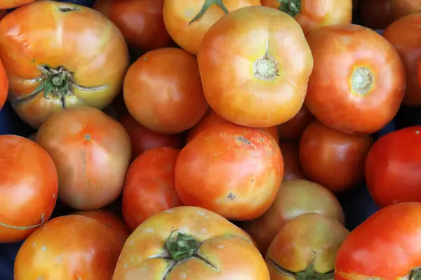 Organic tomatoes on the market counter