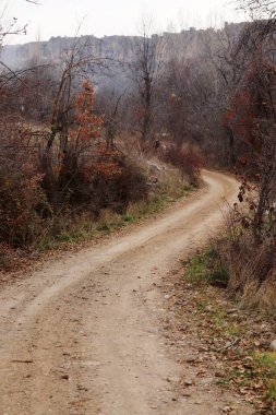 Dağ yolu ve çalı arazisi