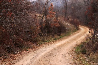 Dağ yolu ve çalı arazisi