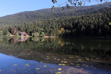 Gölün kıyısında bir villa. Golcuk - Bolu, Türkiye