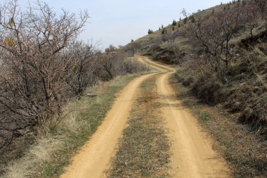 Kırsal alanda toprak yol