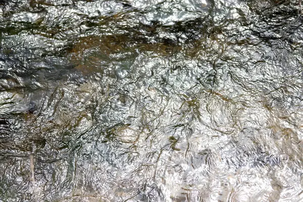 Vahşi bir nehirde su bulanıklaştı ve hızla akıyordu..