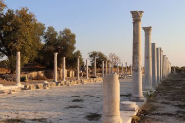 Antik şehrin kalıntıları ve caddeleri