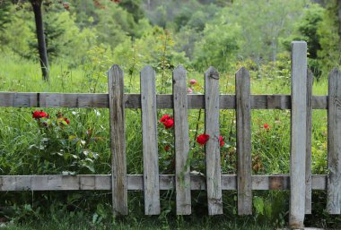 Bahçe için ahşap çitler