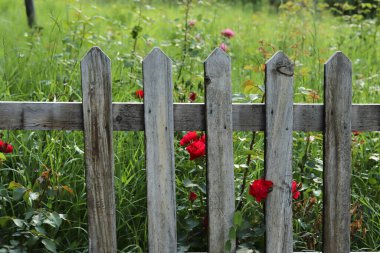 Bahçe için ahşap çitler
