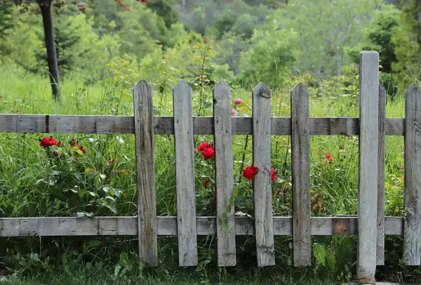 Bahçe için ahşap çitler