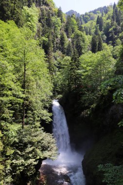 Palovit Şelalesi, Rize ilinin Amlhemin ilçesine bağlı bir şelaledir..