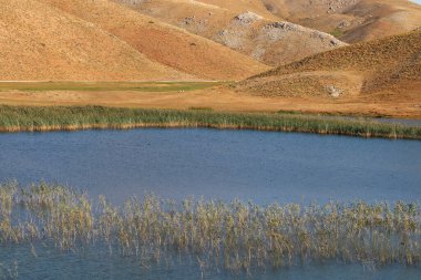 Antalya, Alanya 'daki Geyik Dağları eteklerindeki Sobucimen Platosu ve Egrigol.