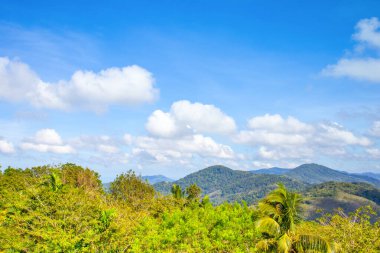 Phuket adasının güzel manzarası. Yeşil dağlar, tropikal bitkiler ve ağaçlar, Tayland.