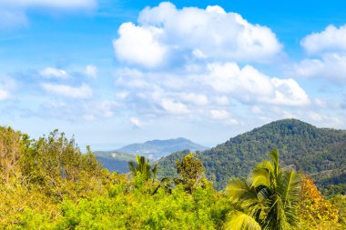 Phuket adasının güzel manzarası. Yeşil dağlar, tropikal bitkiler ve ağaçlar, Tayland.