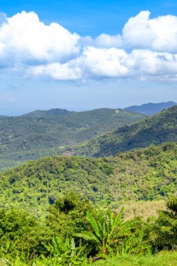 Hint Okyanusu 'nun, Phuket Adası' nın, Tayland 'ın tropikal kıyılarının güzel manzarası