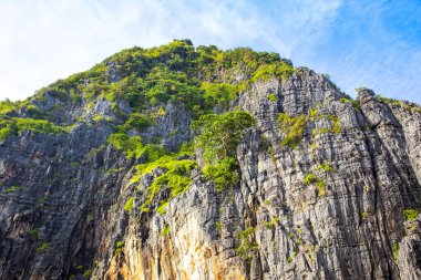 Tayland 'ın en ünlü yerlerinden biri olan Phi Phi Adaları' ndaki Maya Körfezi 'ndeki yeşil kayaların detaylı bir görüntüsü. 