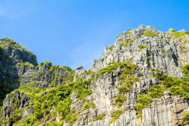 Tayland 'ın en ünlü yerlerinden biri olan Phi Phi Adaları' ndaki Maya Körfezi 'ndeki yeşil kayaların detaylı bir görüntüsü. 