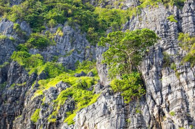 Tayland 'ın en ünlü yerlerinden biri olan Phi Phi Adaları' ndaki Maya Körfezi 'ndeki yeşil kayaların detaylı bir görüntüsü. 