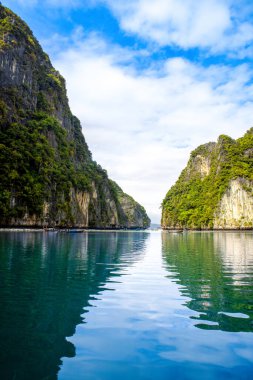 Tayland 'daki Phi Phi Adaları' ndaki Maya Körfezi 'nin güzel tropikal manzarası. Cennet manzarası, kumlu plaj ve yeşil kayaların olduğu en ünlü yerlerden biri. 