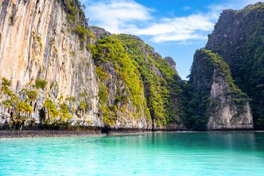 Tayland 'daki Phi Phi Adaları' ndaki Maya Körfezi 'nin güzel tropikal manzarası. Cennet manzarası, kumlu plaj ve yeşil kayaların olduğu en ünlü yerlerden biri. 