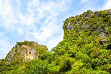 Tayland 'ın en ünlü yerlerinden biri olan Phi Phi Adaları' ndaki Maya Körfezi 'ndeki yeşil kayaların detaylı bir görüntüsü. 