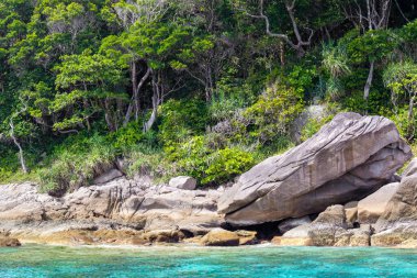 Tayland 'daki Similan Adaları' nın kayalık kıyıları cennet manzaralı, şnorkelli ve dalış noktalı en ünlü adalardır. 