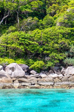 Tayland 'daki Similan Adaları' nın kayalık kıyıları cennet manzaralı, şnorkelli ve dalış noktalı en ünlü adalardır. 