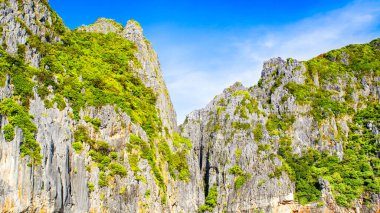 Tayland 'ın en ünlü yerlerinden biri olan Phi Phi Adaları' ndaki Maya Körfezi 'ndeki yeşil kayaların detaylı bir görüntüsü. 