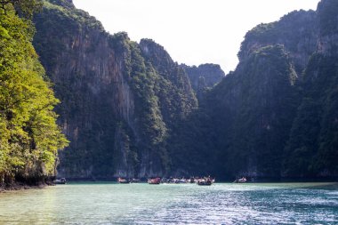 Tayland 'daki Phi Phi Adaları' nın güzel manzarası. Cennet manzaralı ve yeşil kayalıklı en ünlü adalar.