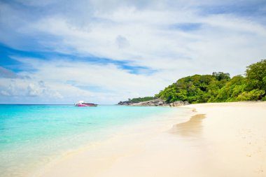 Similan Adaları - 10 Kasım 2023: Cennet manzaralı, şnorkelli ve dalış noktalı Similan Adaları yakınlarındaki tekne turları  