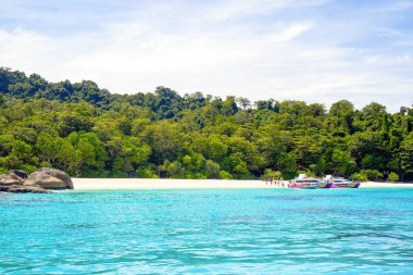 Similan Adaları - 10 Kasım 2023: Cennet manzaralı, şnorkelli ve dalış noktalı Similan Adaları yakınlarındaki tekne turları  