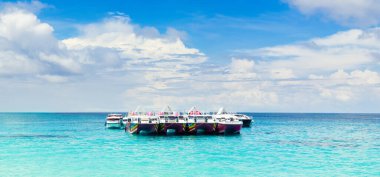 Similan Adaları - 10 Kasım 2023: Cennet manzaralı, şnorkelli ve dalış noktalı Similan Adaları yakınlarındaki tekne turları  