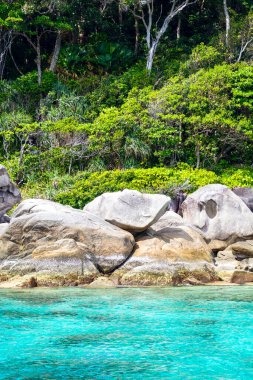 Tayland 'daki Similan Adaları' nın kayalık kıyıları cennet manzaralı, şnorkelli ve dalış noktalı en ünlü adalardır. 