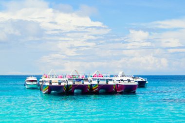 Similan Adaları - 10 Kasım 2023: Cennet manzaralı, şnorkelli ve dalış noktalı Similan Adaları yakınlarındaki tekne turları  