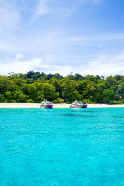 Similan Adaları - 10 Kasım 2023: Cennet manzaralı, şnorkelli ve dalış noktalı Similan Adaları yakınlarındaki tekne turları  