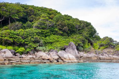 Tayland 'daki Similan Adaları' nın kayalık kıyıları cennet manzaralı, şnorkelli ve dalış noktalı en ünlü adalardır. 