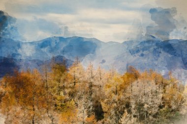 Güz sonbaharı, Gölü 'nün uzak köşesindeki sisli dağlara karşı altın tarla ağaçlarının manzarası.