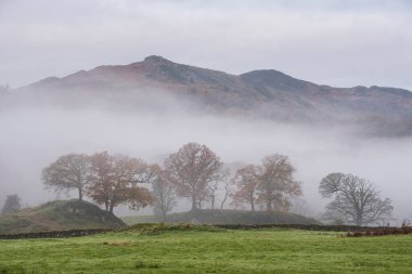 Brathay Nehri 'nin göldeki destansı sonbahar manzarası. Langdale Pikes' e doğru bakıyor. Nehir boyunca sisli ve canlı ormanlık alanlar.