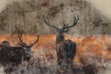 Kırmızı geyik sürüsü destansı resminin dijital suluboya resmi Cervus Elaphus orman manzarasında parıldayan altın şafak güneşinde çarpıcı bir ışıkla parıldıyor. 