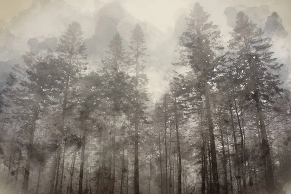 Cyfrowe Malarstwo Akwarelowe Atmosferyczne Mgliste Lasy Jesień Jesień Krajobraz Scena — Zdjęcie stockowe