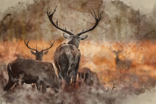 Digital Watercolor Painting Epic Image Herd Red Deer Stags Cervus — Stock Photo, Image