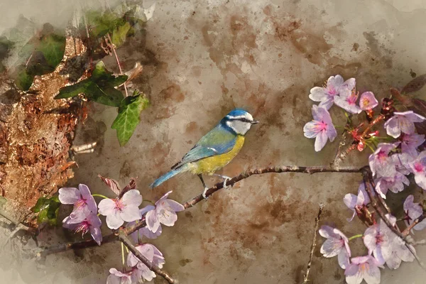 Digital Watercolor Painting Beautiful Spring Image Blue Tit Cyanistes Caerulueus — стоковое фото