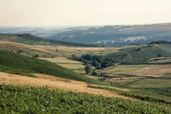 Krásná Krajina Obraz Při Pohledu Svěží Zelené Údolí Zemědělských Polí — Stock fotografie