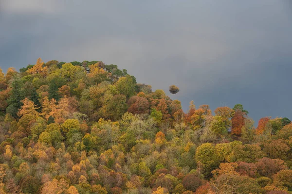 アブストラクト風景鮮やかな秋の色でそれらを隔離空の反射とDerwentwaterの島々の景色の秋のイメージ — ストック写真