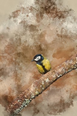 Digital watercolor painting of Beautiful Spring landscape image of Great Tit bird Parus Major in forest setting with colorful vibrant colors